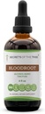 Tribe Bloodroot 알코올 Tincture 추출물의 비밀, 책임감있게 농장 혈액 뿌리 (Sanguinaria Canadensis) 건조 뿌리 Tincture 보충 (4 fl oz)