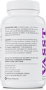 BELDT Labs VASST 니트로 산화물 승압기, N.O. Arginine-AKG, OKG, GKG 및 L 아르기닌 HCL의 3,000mg 이상 보충 - 90 정제