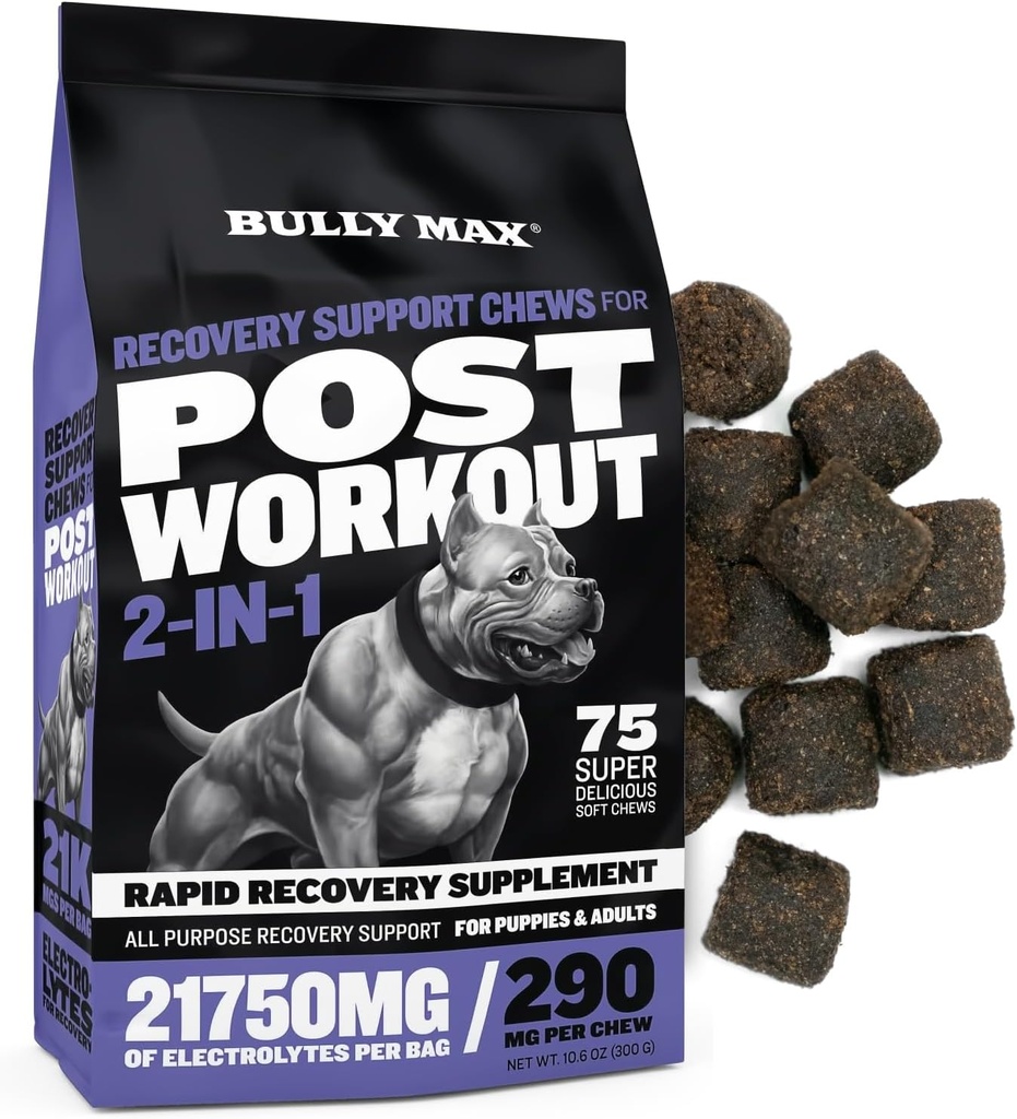 Bully Max 2-in-1 Post-Workout Recovery Support Chews - 작은 & 대형 품종에 대한 개 비타민 및 식품 보충 - 강아지와 성인 개 Hydration & Electrolyte Replenishment - 75 부드럽고 맛있는 Chews