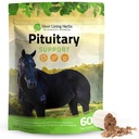 Silver Lining Herbs Pituitary Gland는 말에 대 한 보충 교재 - Equine Metabolic 지원, Cushing의, 땀 & 흘리는 문제 - Mood & Energy Horse 보충교재 - 1 lb 60 일 공급