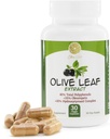 올리브 리프 추출물 - 500mg - 25 % Oleuropein - 20 % Hydroxytyrosol - 40 % 폴리 페놀 - 비 GMO + 글루텐 무료 + Dairy Free + Soy Free + Vegan (30 캡슐)