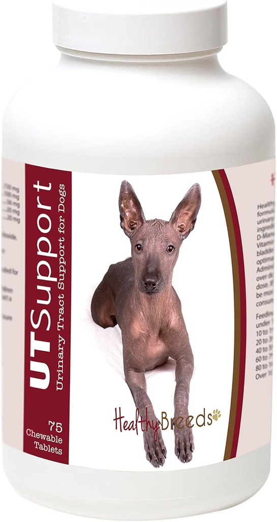 건강한 Breeds Xoloitzcuintli Cranberry Chewables - UT 지원 - Fight Harmful Bacteria 도움에서 효과적인 & 당신의 개의 Bladder에 감염 - 75 조사