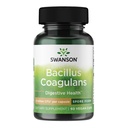 Swanson Bacillus Coagulans Spore-Form Probiotic for Adults Seeking 6 Billion CFU - 산 - 저항하는 (60 Vegan 캡슐)