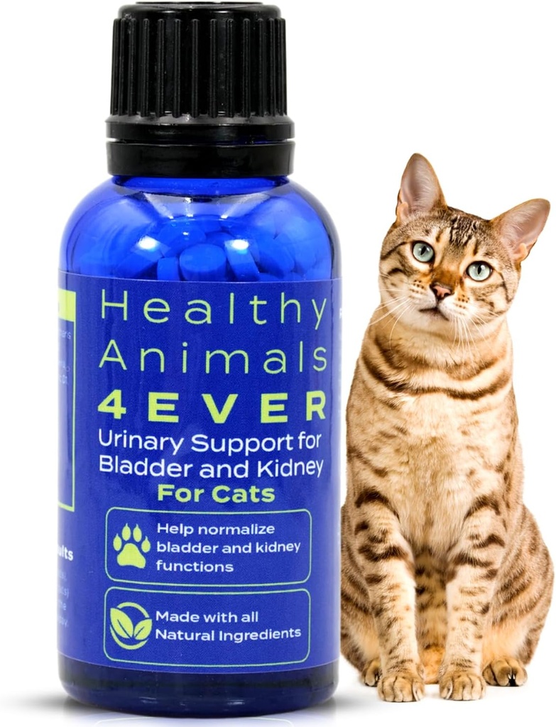HA4E - 고양이 UTI Remedy - 고양이를위한 자연 Kidney 지원 - Bladder & Urinary Health - Renal Cleanse - Non-GMO, 유기, 화학 - 무료 300 기타 제품