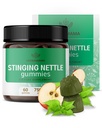 HERBAMAMA Sting Nettle Gummies - 여성 및 남성을위한 Urinary Tract 지원을위한 7500mg Sting Nettle Root Extract - Vegan, Non-GMO Urtica Dioica Supplement - 60 Pectin-Based Apple-Flavored Chews