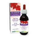 Naturalma Red Grapevine (Vitis vinifera) 잎 알코올 - 무료 색소 - 4 fl oz Liquid Extract in Drops - 초본 보충 - Vegan