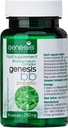 Bifidobacterium spp를 가진 창세기 실험실 Probiotic 보충교재. 250 mg 30의 캡슐 Immune 지원 Gut 건강 Probiotics를 위한 소화 건강 반대로 Bloating 남자와 여자 Gut Restore Probiotic