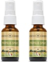 허니 가든 비 프로폴리스 스로트 스프레이 | Apitherapy Raw Honey, Licorice Root and Usnea | 50 서빙 | 1 Fl Oz | 2 팩