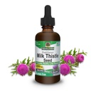 Nature's Answer Milk Thistle 2 Ounce Extract - 알코올 무료, 비 GMO, Liver Support Supplement for Everyone - Liver Detox, 미국에서 만든