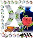 All Natural Detox Cleanse 즉시 Tea Mix Prune & Plum w. Fiber & Inulin for Optimal Intestinal Transit by FuXion Prunex 1 (10 시체)
