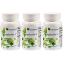 3 병에 있는 성인 면역 지원 50mg/Cap 90 모자를 위한 부수는 최고 흡수 Astragaloside IV 98% 노화 방지 보충교재