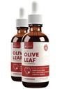 Rejuvica Active Olive Leaf Extract | Naturally Occurring Oleuropein Liquid Drops for Immune & Heart Support | 빠른 흡수, 채식주의자, 알코올 무료 | 4 fl oz