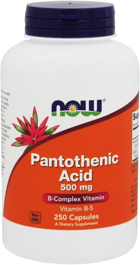 지금 음식 Pantothenic 산, 250의 모자/500 mg (2의 포장)