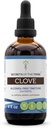 Tribe Clove Tincture Alcohol-Free Liquid Extract의 비밀, Clove (Syzygium Aromaticum) 건조 꽃 버드 (4 FL OZ)