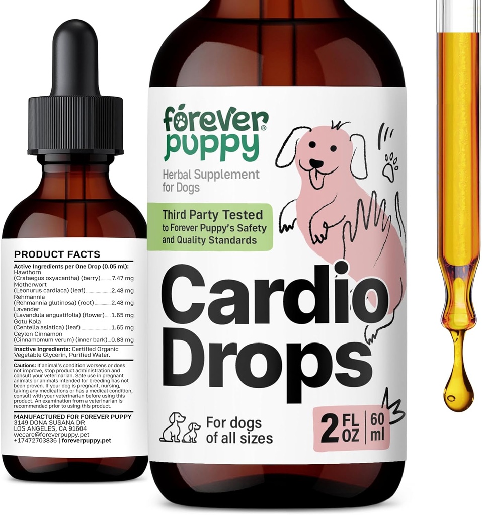 개를위한 영원히 강아지 Cardio 드롭 - 호손 Berry & Motherwort 허브 - Gotu Kola Leaves & Lavender Extract와 액체 산화 보충 - 2 fl oz