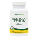 NaturesPlus 달걀 Yolk Lecithin - 600 mg, 180 캡슐 - Soy Free, 글루텐 무료 - 90 서빙