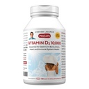 ANDREW LESSMAN 비타민 D3 10,000 IU 180 캡슐 - 높은 효능, 칼슘 흡수에 대한 필수, 뼈 건강, 건강한 근육 기능, 면역 체계, 더 많은 지원. 삼키기 캡슐에 작은 쉬운