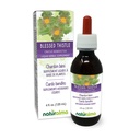 Naturalma Blessed Thistle 또는 Holy Thistle (Cnicus benedictus) 허브 꽃 알코올 - 무료 Tincture - 4 fl oz 액체 추출물 드롭 - 허브 보충 - Vegan