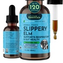 동물성 필수 Slippery Elm - Slippery Elm Bark Anti Diarrhea Drops for Dogs and Cats, 건강한 Gut, Digestive & Throat Support를 위한 유기 초본 추출물은, 산성 Reflux, 액체 공식 1개 fl oz를 돕습니다
