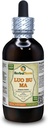 Luo Bu Ma, Dogbane (Apocynum Venetum) Tincture, 건조 된 잎 액체 추출 (브랜드 이름 : HerbalTerra, Proudly Made in USA) 4 fl.oz (120 ml)