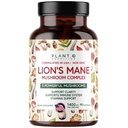 Plant.O Premium Lion 's Mane Supplement, 모든 천연 Nootropics 두뇌 보충, 5 버섯 복합체 - 사자 Mane, Reishi, Chaga, Maitake, Immunity, Focus, Mood 및 Memory Boost, 90 Caps