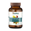 Ceylon Cinnamon을 가진 히말라야 Berberine - 정상적인 대사, 면역, 및 소화 건강 지원을위한 초본 보충 - Vegan, 글루텐 무료, 60 채식 캡슐