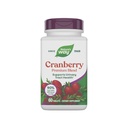 Nature's Way Premium Blend Cranberry, Urinary Tract Health Support* 비타민 C, 60 정제와 보충