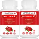 Liposomal Urolithin 에너지 120 캡슐을 위한 보충교재 2000MG