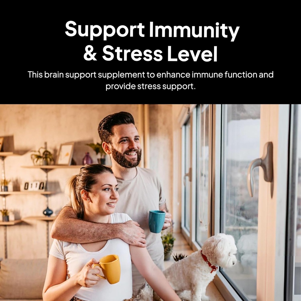 의사 Morse의 두뇌 및 신경 시스템 지원 - 지원 면역 및 스트레스 수준 - Naturopath 공식화 된 Nootropic 보충 - Ginkgo 잎, Gotu Kola, Astragalus 뿌리 및 Butchers Broom - 90 캡슐