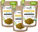 Naturefi 유기 Goldenseal 뿌리 분말 - 10.5 oz, 300 서빙 *USDA 유기 | 실험실 Tested* 순수한 자연적인 황금 뿌리 분말 보충교재