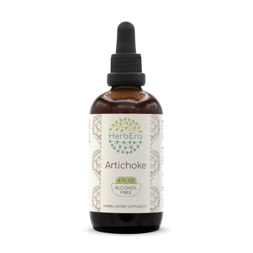 HerbEra Artichoke B120 알콜 자유로운 초본 추출물 Tincture의 집중된 액체 하락 자연적인 Artichoke (Cynara scolymus) (4개 fl oz)