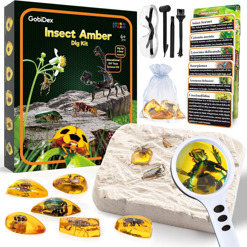 GobiDex Amber Dig Kit-Artificial Insect Resin, Excavate 6 Insects Specimens, STEM Geographic Educational Bugs Toys, Fun Bugs Party Favors, Kids Age 6-8 8-12를위한 과학 키트