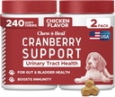개를위한 개 UTI 치료 크랜베리 보충, 240 Soft Chews - 자연 Urinary Tract Infection Support and Healthy Bladder Control - Echinacea 및 비타민 C (2 팩 120)