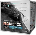 Micro-Encapsulated Probiotics for Horses - 프리미엄 Equine 소화 건강 보충