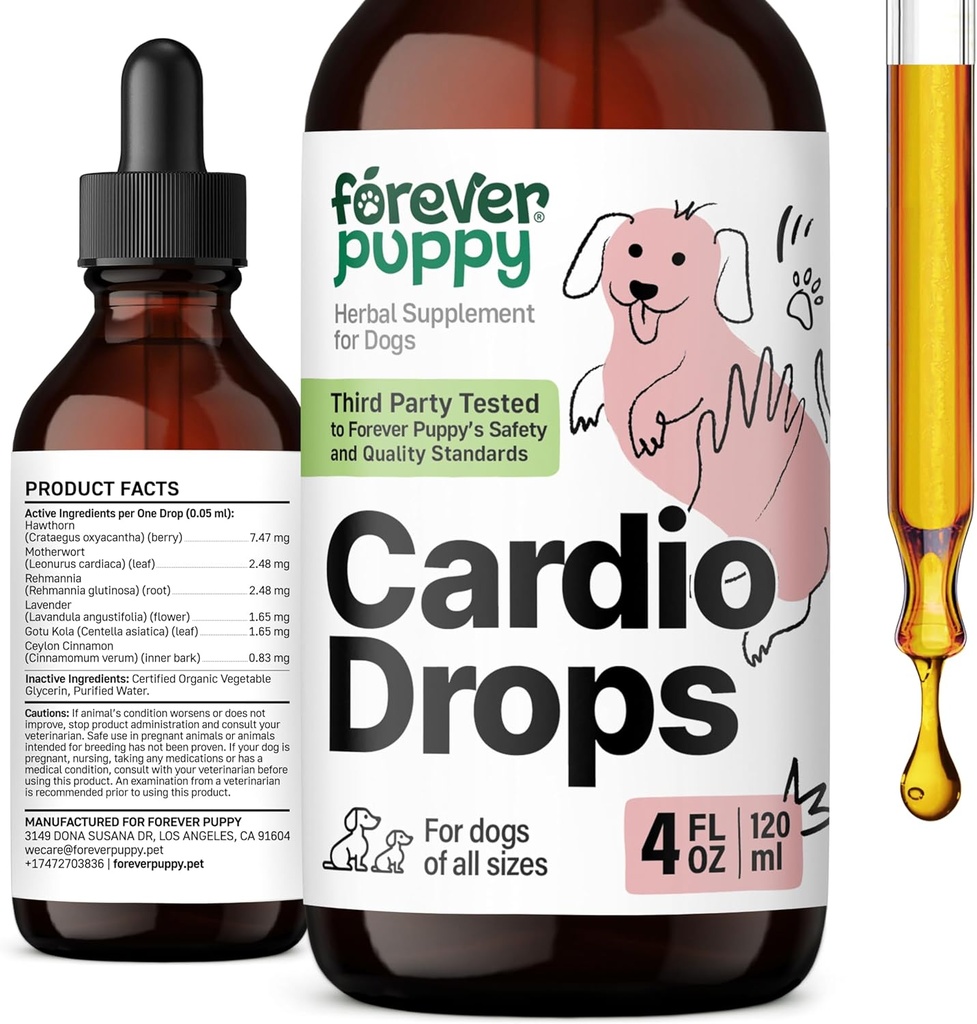 개를위한 영원히 강아지 Cardio 드롭 - 개를위한 심장 지원 w / 호손 베리 & Motherwort 허브 - 액체 산화 보충 w / Gotu Kola Leaves & Lavender Extract - 4 fl oz
