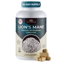 Naturealm Lions Mane Mushroom Supplement - Focus Memory Mental Clarity 용 유기 두뇌 지원 - Non GMO Cognitive Function - 90 채식 캡슐