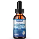 1 팩 Glucosamine Chondroitin MSM 액체 하락 - Quercetin Boswelia, Bromelain, Hyaluronic 산, 산화 방지제 면역성이 있는 면역성이 있는 지원 (2개 oz)를 가진 성인을 위한 여분 힘 합동 지원 보충교재