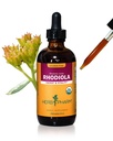 허브 Pharm은 에너지, 내구시간 및 체력, 알코올 - 무료 글리세 라이트, 4 Ounce에 대한 유기 Rhodiola 루트 추출