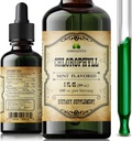 Chlorophyll 액체 낙하 – 유기 자연적인 Detox & Cleanse 지원 – 부스트 에너지, Immunity & Metabolism – Vegan, 비 GMO, 민트 맛, 2 fl oz – 나트륨 구리 클로로필린 추출물 – 미국에서 만드는