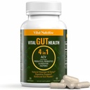 Vital Gut Health 4in1 Formula with Apple Cider Vinegar, Prebiotics & Probiotics, 강력한 면역 지원 및 완전한 Gut 및 Digestion 지원을위한 소화 효소