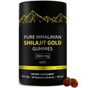 Shilajit Gummies | 남성용 Alpha Gummies | Lab Tested I No Added Sugar | Ashwagandha, Gokshura | 남성용 Fulvic Acid & 85+ Trace Mineral | 비 GMO | 60 Gummy