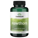 Swanson Hawthorn 추출물 (표준화) 250 밀리그램 120 캡슐