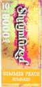 번식 Nootropic 거미 8000mg - 사자 Mane, Reishi, Chaga 및 Cordycep Nootropic Tripee 버섯 혼합 (10, 여름 복숭아)