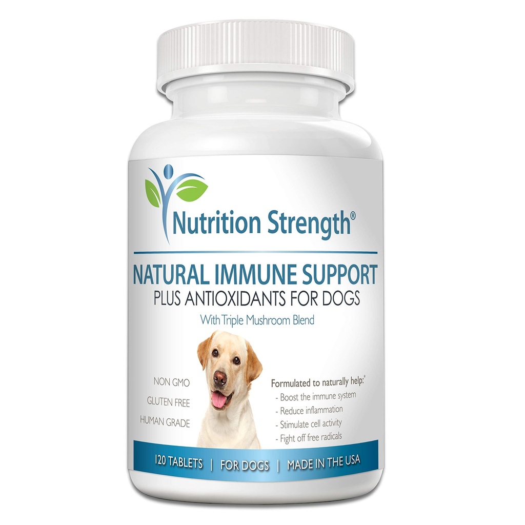 항 산화제, Reishi, Shiitake, Maitake, 터키 꼬리 버섯, Coenzyme Q10, Selenium, 비타민 A, 120 Chewable 정제와 더불어 개를 위한 Immune 지원