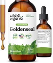 야생 & 유기 Goldenseal 뿌리 Tincture - Lung Cleanse, Immune & 소화 지원 - 액체 Goldenseal 보충교재 - 채식주의자, 설탕 & 알콜 자유로운 허브 하락 - 2개 fl oz