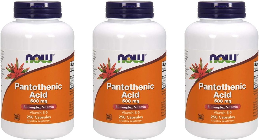 지금 음식 Pantothenic 산 500 mg, 250 캡슐 (3 팩)