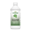 동적인 건강 액체 Chlorophyll Peppermint 100 mg의 알파 리파와 뽕나무 잎, 식물 정화 및 탈취를 가진 나트륨 구리 Chlorophyllins, 추가된 설탕 없음, 16 Fl Oz