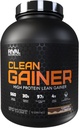 라이벌 영양 클린 게인 - Campfire S'Mores Clean Gainer, 5lbs