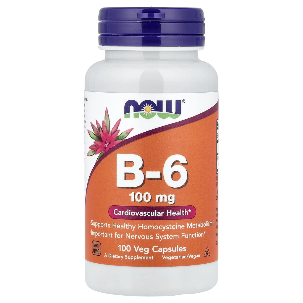 지금 음식 B-6 100mg 100 캡슐