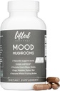 무드 버섯 - 리프트 버섯 보충 - 사자 Mane, Reishi, Chaga, 터키 꼬리, Maitake - 에너지, 초점, 구호